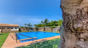 Glamping -Bungalows El Faro - Image 4