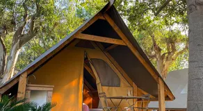 Il Pampaleone Glamping and Resort - Image 5
