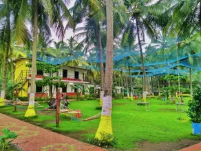 Coconut Valley - Image 2