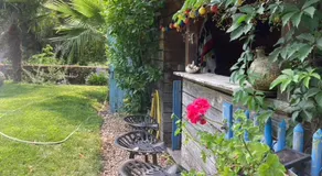 Maison du Loup - Image 4