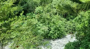 Chalet Karaka - Image 5