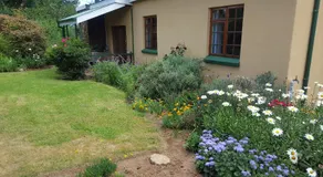 Cottage Suikerbekkie - Image 5
