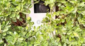 Large 3-bedroom house, garden near Paris and Disney - Image 5