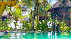 The Alpha Monkey hotel & Tree house - Image 2