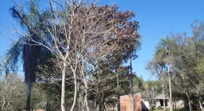 Rancho Felicia y Moisés - Image 4