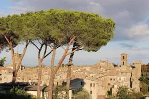 Casa Sermichelino - Image 3