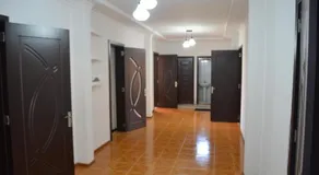 TAMAZI - Image 4