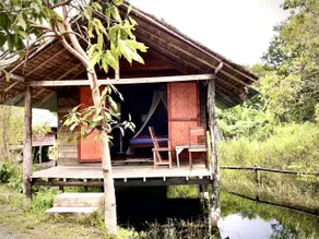 Frog Garden Hut - Image 2