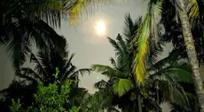 Hasiru Farms Homestay by StayApart - Image 3