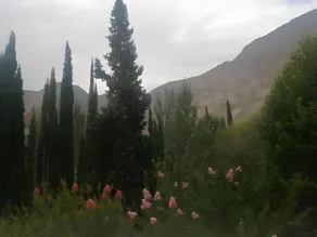 Springfield Resort Gilgit - Image 3