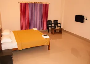 Wayanad Royal Stream - Image 2
