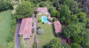 La Grenouille - Image 4