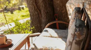 Creekside Artists Flat w Spa Tub & Garden! - Image 3