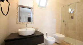 B&B Hibiscus - Image 2