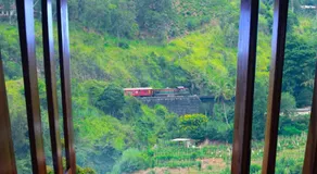 Sapphire rail ridge Ella - Image 3