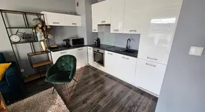 Przytulny apartament do wynajęcia - Image 3