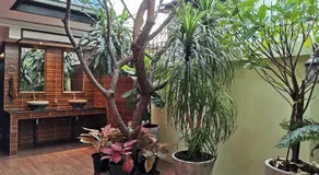 TAVEE Guesthouse - Image 3