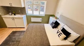 Luxury standard flats in Central London, ideal for tourists - Image 4