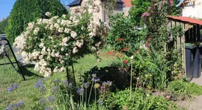 Au Jardin de Curé - Image 3