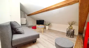Le Trèfle proche de Genève et Annecy - Image 2