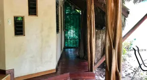 La Palapa Hut Nature Hostel - Image 3