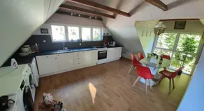 The parrot hotel, live in a rescue animal park - Image 2
