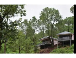 Hotel O Erica Hills Resort, Kasauli - Image 3