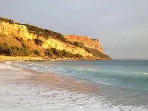Le Grand Bleu - Image 2
