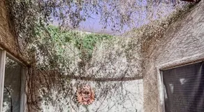 Sun Dazed Tempe with Cali Soul Vibe - Image 5
