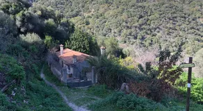 Molino de Santos - Image 4