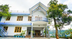 Munnar Blue Mist - Image 4