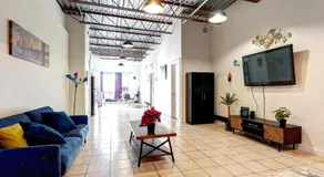 #2 - Big Loft - Plaza St-hubert - Image 4