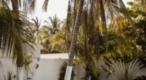 casa puerto lindo - Image 3