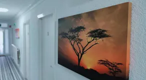 Aaran Central Guesthouse - Image 2