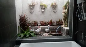 Fancy Carp Resort - Image 5