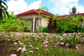 Lotus Villa Palembang - Image 1