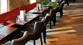 The White Lion - Image 2