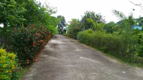 Chuanchom Resort Phuwiang - Image 4