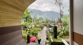 de Pipo Bromo - Image 4