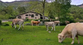 Hauzify I Domus Molina - Image 4