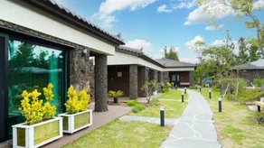 Jeju bizagot Pension(Bijarimjeom) - Image 3