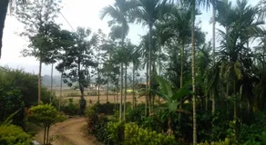 Simply Coorg Estate Villa - Image 4