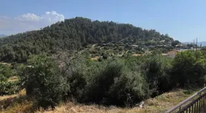 Katerina House - Image 4