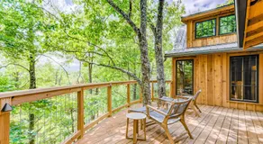 The Green Ash in Treehouse Grove at Norton Creek - Image 2