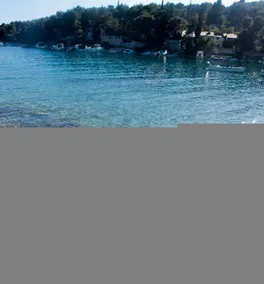 Apartment Deni A1 Cove Osibova (Milna), Island Brac - Image 4
