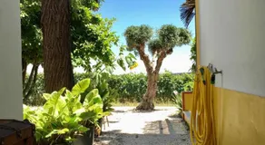 Quinta da Trombeta - Image 4