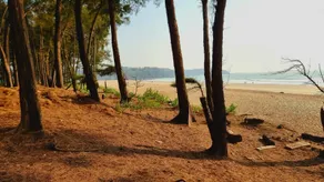 Palolem Houses - Image 5