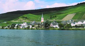Ferienwohnung am Moselufer - Image 4