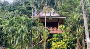 Pizza classic resort kohjum - Image 4