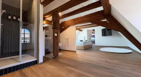 Apartmenthaus Alte Scheune Gunzenhausen - Image 2